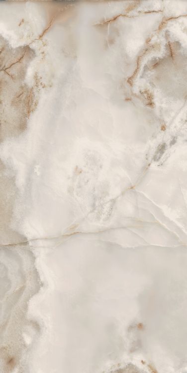 Reves Noisette Matte 24 x 48
